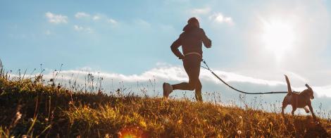 Advisor running