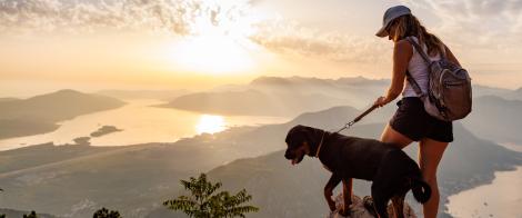 Advisor with dog
