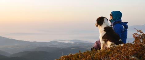 Advisor with Dog