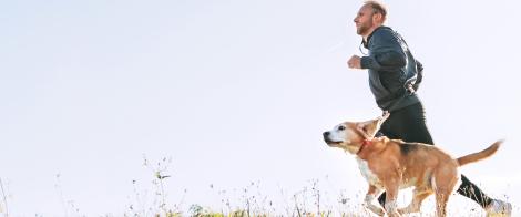 Dog running