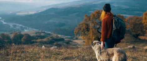 Advisor with dog