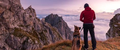 Advisor with Dog