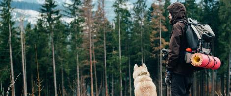 Advisor with dog