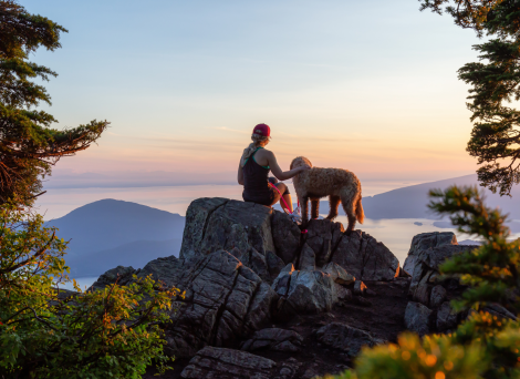 Dog and hiker looking over mountains