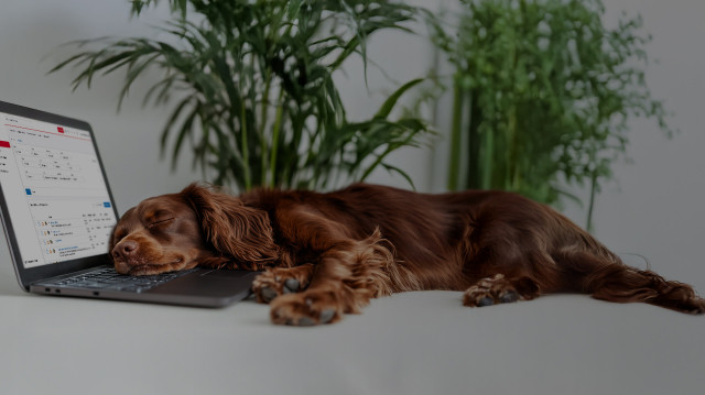 Redtail Software with a Redtail Dog